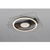 Reality Wheeler Deckenleuchte LED Schwarz, 1-flammig