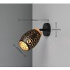 Reality Bidar Wand- und Deckenspot Schwarz-Gold, 1-flammig