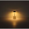 Globo Wanda Tischleuchte LED Transparent, Klar, 1-flammig