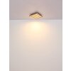 Globo Hayden Deckenleuchte LED Naturfarben, Schwarz, 1-flammig, Fernbedienung