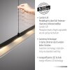 Leuchten Direkt NELE Pendelleuchte LED Schwarz, 1-flammig