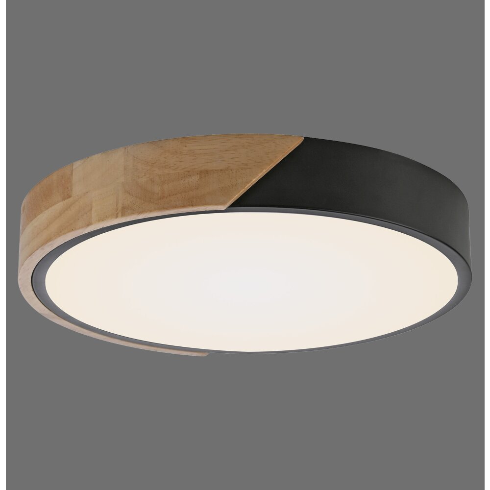 Leuchten Direkt BILA Deckenleuchte LED Schwarz, 1-flammig main product photo
