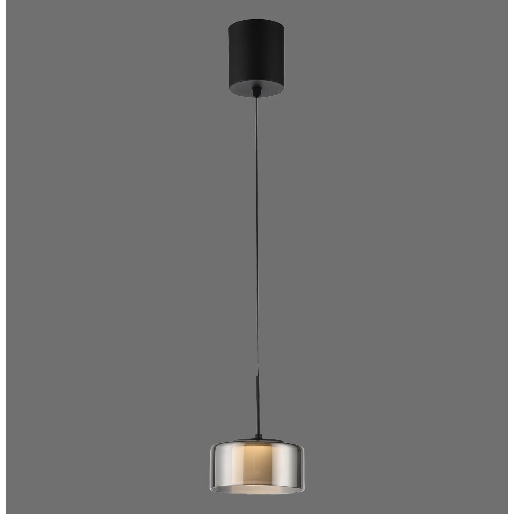Paul Neuhaus Rika Pendelleuchte LED Schwarz, 1-flammig main product photo