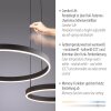 Paul Neuhaus Esko Pendelleuchte LED Schwarz, 2-flammig, Fernbedienung