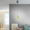 Paul Neuhaus Zula Pendelleuchte LED Braun, 1-flammig Paul Neuhaus Zula Pendelleuchte LED Braun, 1-flammig