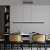 Paul Neuhaus Adriana Round Pendelleuchte LED Schwarz, 2-flammig