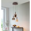 Paul Neuhaus Irides Pendelleuchte LED Braun, 3-flammig