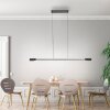 Paul Neuhaus Hoop Pendelleuchte LED Anthrazit, Silber, 1-flammig