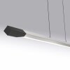 Paul Neuhaus Hoop Pendelleuchte LED Anthrazit, Silber, 1-flammig