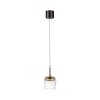 Paul Neuhaus Q-Kon Pendelleuchte LED Braun, 1-flammig, Fernbedienung