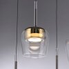 Paul Neuhaus Q-Kon Pendelleuchte LED Braun, 1-flammig, Fernbedienung