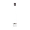 Paul Neuhaus Q-Kon Pendelleuchte LED Braun, 1-flammig, Fernbedienung