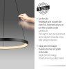 Paul Neuhaus Hoop Pendelleuchte LED Schwarz, 1-flammig