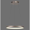Paul Neuhaus Hoop Pendelleuchte LED Braun, 1-flammig