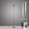 Paul Neuhaus Q-Rotate Stehleuchte LED Braun, 1-flammig, Fernbedienung