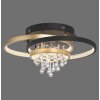 Paul Neuhaus Rotazo Deckenleuchte LED Gold, Schwarz, 1-flammig