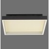 Paul Neuhaus Q-Magong Deckenleuchte LED Schwarz, 1-flammig, Fernbedienung