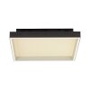Paul Neuhaus Q-Magong Deckenleuchte LED Schwarz, 1-flammig, Fernbedienung