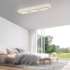 Paul Neuhaus Q-Kalina Deckenleuchte LED Weiß, 1-flammig, Fernbedienung