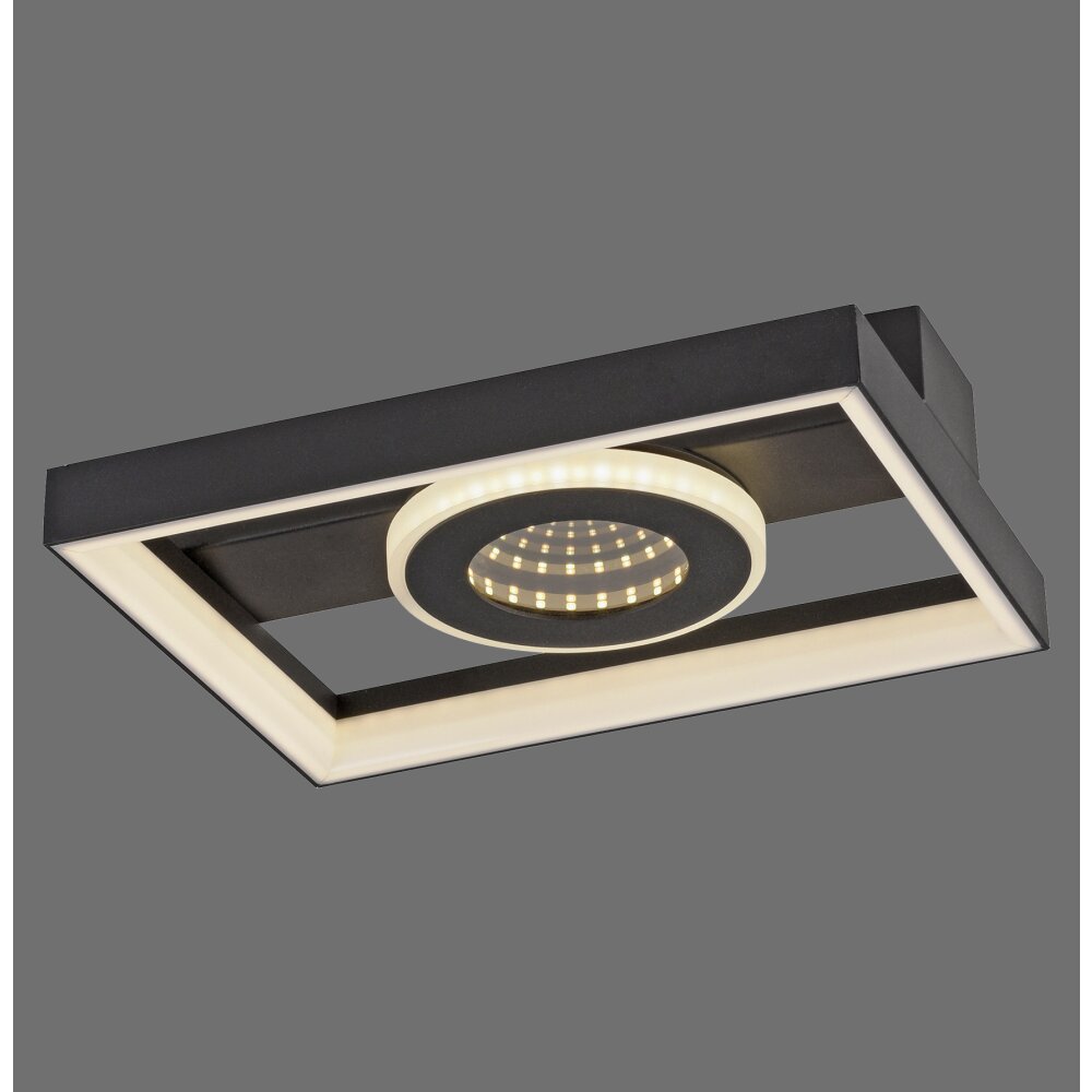 Paul Neuhaus Traforo Deckenleuchte LED Schwarz, 1-flammig, Fernbedienung main product photo