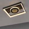 Paul Neuhaus Traforo Deckenleuchte LED Schwarz, 1-flammig, Fernbedienung