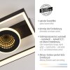Paul Neuhaus Traforo Deckenleuchte LED Schwarz, 1-flammig, Fernbedienung