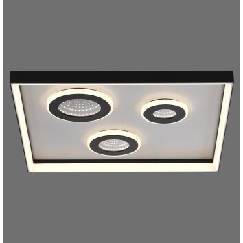 Paul Neuhaus Dune Deckenleuchte LED Schwarz, 1-flammig, Fernbedienung