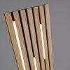 Paul Neuhaus Q-Akustik Stehleuchte LED Braun, Schwarz, 1-flammig, Fernbedienung