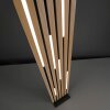 Paul Neuhaus Q-Akustik Stehleuchte LED Braun, Schwarz, 1-flammig, Fernbedienung