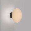 Paul Neuhaus Olaf Wand- und Deckenleuchte LED Grau, 1-flammig