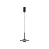 Paul Neuhaus PURE Vitrum Pendelleuchte LED Grau, 2-flammig