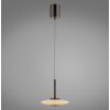 Paul Neuhaus PURE Vitrum Pendelleuchte LED Braun, 2-flammig