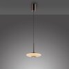 Paul Neuhaus PURE Vitrum Pendelleuchte LED Braun, 2-flammig