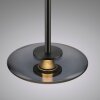 Paul Neuhaus PURE Vitrum Pendelleuchte LED Grau, 6-flammig