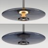 Paul Neuhaus PURE E-Vitrum Pendelleuchte LED Grau, 2-flammig, Fernbedienung
