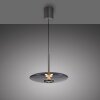 Paul Neuhaus PURE E-Vitrum Pendelleuchte LED Grau, 2-flammig, Fernbedienung
