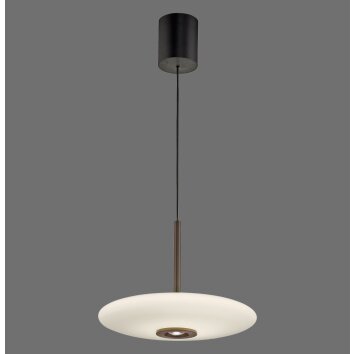 Paul Neuhaus PURE E-Vitrum Pendelleuchte LED Braun, 2-flammig, Fernbedienung Paul Neuhaus PURE E-Vitrum Pendelleuchte LED Braun, 2-flammig, Fernbedienung