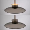 Paul Neuhaus PURE Moon Pendelleuchte LED Bronze, 2-flammig