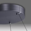 Paul Neuhaus PURE E-Loop Pendelleuchte LED Grau, 2-flammig, Fernbedienung