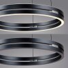 Paul Neuhaus PURE E-Loop Pendelleuchte LED Grau, 2-flammig, Fernbedienung