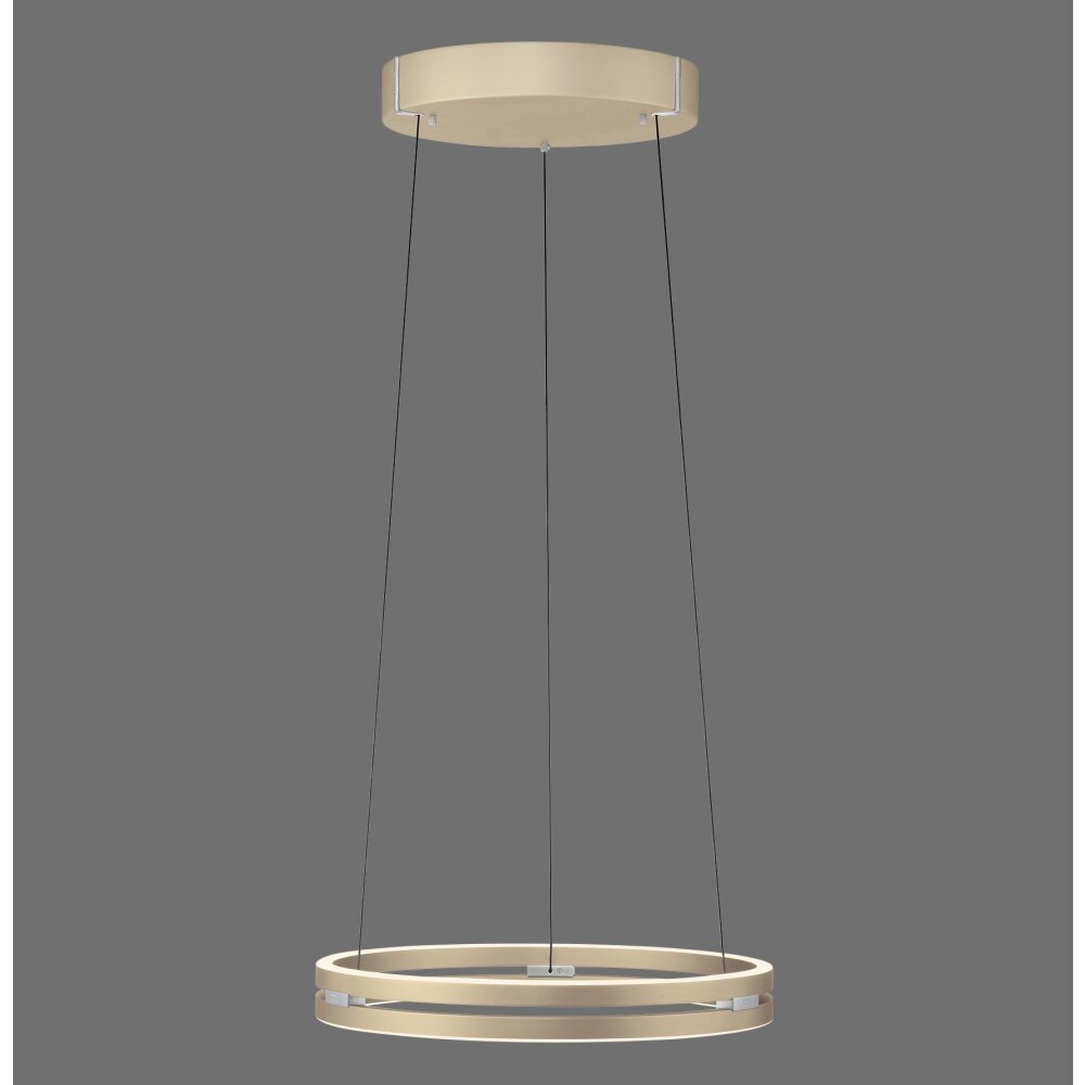 Paul Neuhaus PURE E-Loop Pendelleuchte LED Messing, 2-flammig, Fernbedienung main product photo