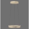 Paul Neuhaus PURE E-Loop Pendelleuchte LED Messing, 2-flammig, Fernbedienung