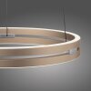 Paul Neuhaus PURE E-Loop Pendelleuchte LED Messing, 2-flammig, Fernbedienung