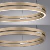 Paul Neuhaus PURE E-Loop Pendelleuchte LED Messing, 2-flammig, Fernbedienung
