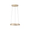 Paul Neuhaus PURE E-Loop Pendelleuchte LED Messing, 2-flammig, Fernbedienung