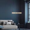 Paul Neuhaus PURE E-Loop Pendelleuchte LED Messing, 2-flammig, Fernbedienung