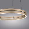 Paul Neuhaus PURE E-Loop Pendelleuchte LED Messing, 2-flammig, Fernbedienung