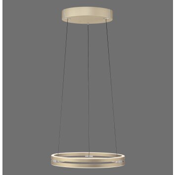 Paul Neuhaus PURE E-Loop Pendelleuchte LED Messing, 2-flammig, Fernbedienung