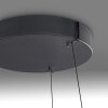 Paul Neuhaus PURE E-Loop Pendelleuchte LED Schwarz, 2-flammig, Fernbedienung