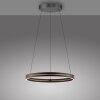 Paul Neuhaus PURE E-Loop Pendelleuchte LED Schwarz, 2-flammig, Fernbedienung